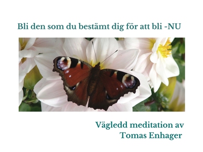Bil den du bestämt dig för att bli- NU (ljudbok