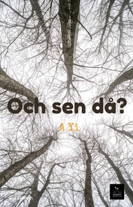 Och sen då? (e-bok) av A Yi