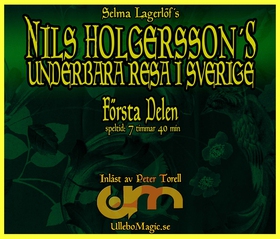 Nils Holgerssons underbara resa 1 (ljudbok) av 