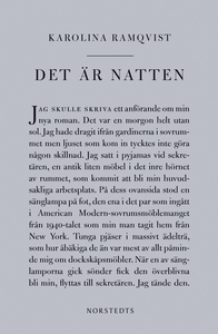 Det är natten : Författaren och den som skriver
