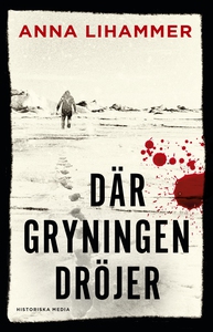 Där gryningen dröjer (e-bok) av Anna Lihammer