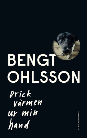 Drick värmen ur min hand (e-bok) av Bengt Ohlss