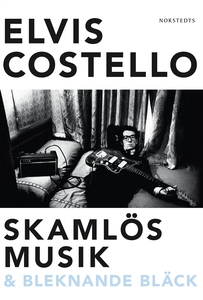 Skamlös musik & bleknande bläck (e-bok) av Elvi