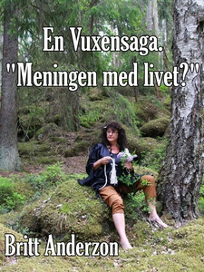 En Vuxensaga. "Meningen med livet?" (e-bok) av
