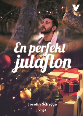 En perfekt julafton (ljudbok) av Josefine Schyg