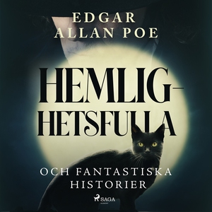 Hemlighetsfulla och fantastiska historier (ljud