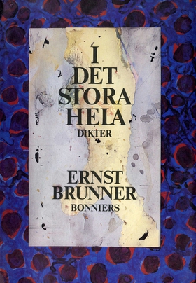 I det stora hela : dikter (e-bok) av Ernst Brun