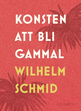 Konsten att bli gammal (e-bok) av Wilhelm Schmi