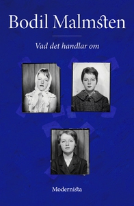 Vad det handlar om (e-bok) av Bodil Malmsten