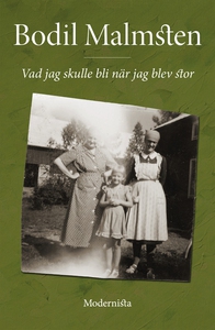 Vad jag skulle bli när jag blev stor (e-bok) av