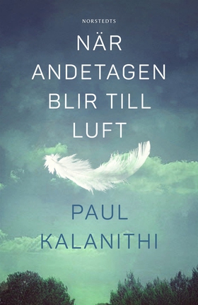 När andetagen blir till luft (e-bok) av Paul Ka
