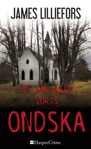 En särskild sorts ondska (e-bok) av James Lilli