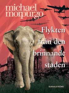 Flykten från den brinnande staden (e-bok) av Mi