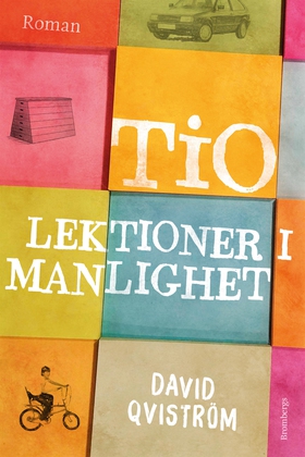 Tio lektioner i manlighet (e-bok) av David Qvis