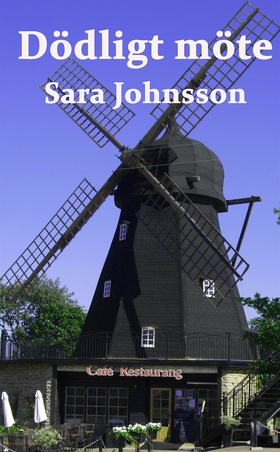 Dödligt möte (e-bok) av Sara Johnsson
