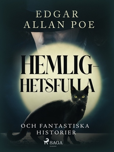 Hemlighetsfulla och fantastiska historier (e-bo