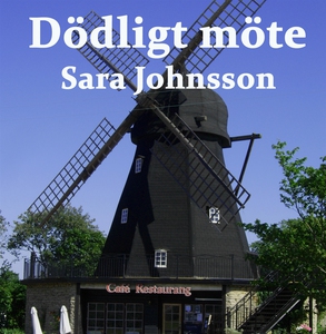 Dödligt möte (ljudbok) av Sara Johnsson