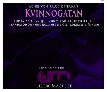 Kvinnogatan (ljudbok) av Agnes von Krusenstjern