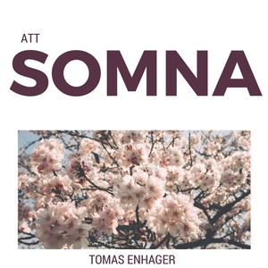 Att somna - vägledning av Tomas Enhager (ljudbo