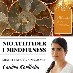 SAMLINGSUTGÅVA: Nio attityder i mindfulness av