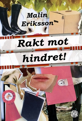 Rakt mot hindret (e-bok) av Malin Eriksson Sjög