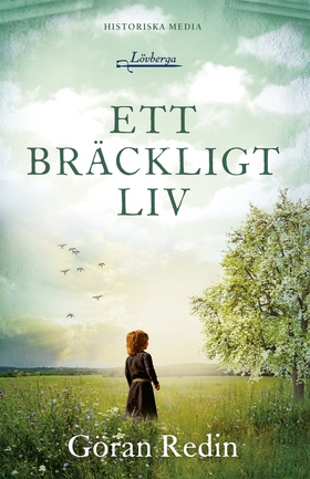 Ett bräckligt liv (e-bok) av Göran Redin