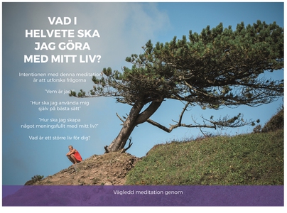Vad i helvete ska jag göra med mitt liv? (ljudb