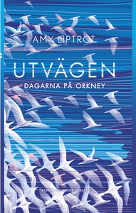 Utvägen : Dagarna på Orkney (e-bok) av Amy Lipt