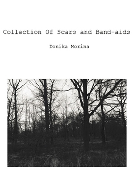 Collection of Scars and Band-aids (e-bok) av Do