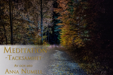 Meditation - Tacksamhet (ljudbok) av Anna Numel