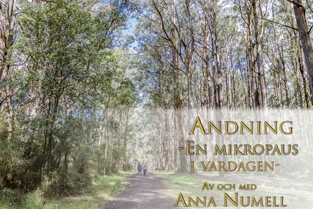 Andning - en mikropaus i vardagen (ljudbok) av