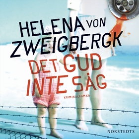 Det gud inte såg (ljudbok) av Helena von Zweigb