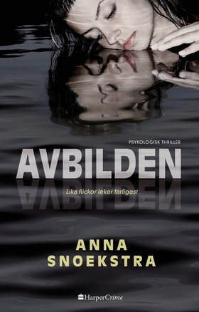 Avbilden (e-bok) av Anna Snoekstra