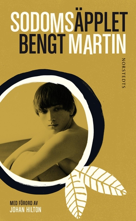 Sodomsäpplet (e-bok) av Bengt Martin