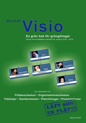 Microsoft Visio - En grön bok för gröngölingar: