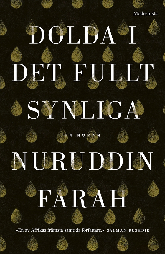 Dolda i det fullt synliga