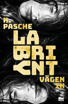 Labyrint - vägen in (e-bok) av Karin Pasche