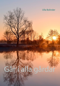 Går i alla gårdar (e-bok) av Ulla Bolinder