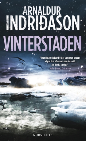 Vinterstaden (e-bok) av Arnaldur Indridason