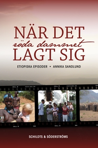 När det röda dammet lagt sig (e-bok) av Annika
