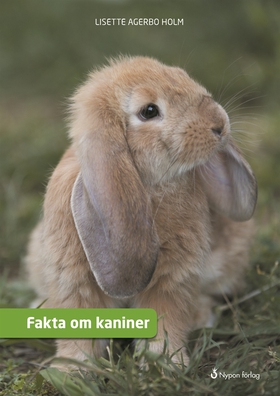 Fakta om kaniner (e-bok) av Lisette Agerbo Holm
