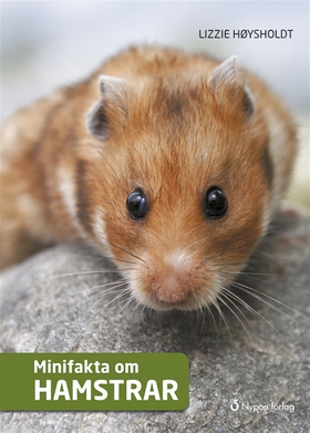 Minifakta om hamstrar (e-bok) av Lizzie Høyshol