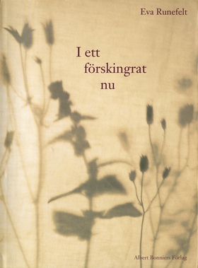 I ett förskingrat nu (e-bok) av Eva Runefelt