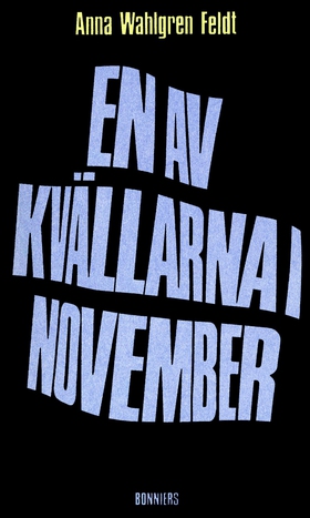 En av kvällarna i november : Noveller (e-bok) a