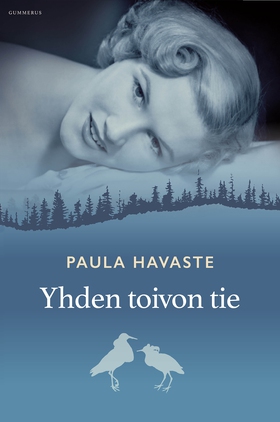 Yhden toivon tie (e-bok) av Paula Havaste