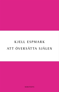 Att översätta själen : en huvudlinje i modern p