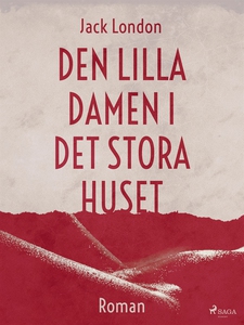 Den lilla damen i det stora huset (e-bok) av Ja