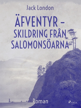 Äfventyr - skildring från Salomonsöarna (e-bok)