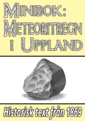 Minibok: Meteoritregnet i Uppland på nyårsdagen