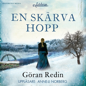 En skärva hopp (ljudbok) av Göran Redin